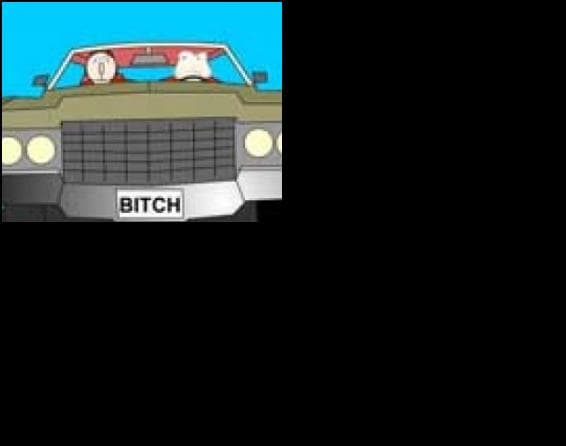 Bitch