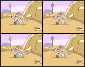 Coyote Pretty
