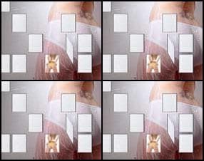 Memory bodies