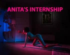 Anitas Internship