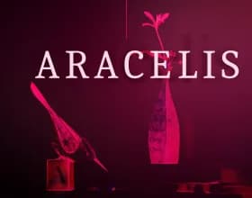 Aracelis