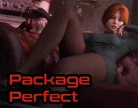 Package Perfect