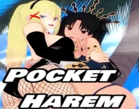 Pocket Harem