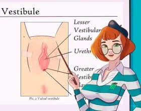 SexEd Course screenshot 2